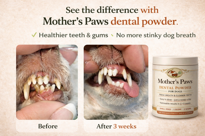 Mother's Paws Dental Powder®